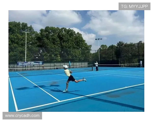 上海网球队的节奏揭秘:深度解析网球运动的魅力与挑战 上海网球队的节奏揭秘:深度解析网球运动的魅力与挑战