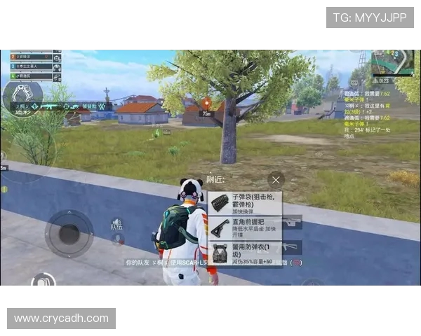 从零开始掌握和平精英战术全解析助你成为游戏高手