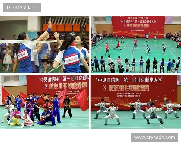 全国锦标赛特别报道：上海羽毛球队如何逆袭夺冠的精彩历程与背后故事