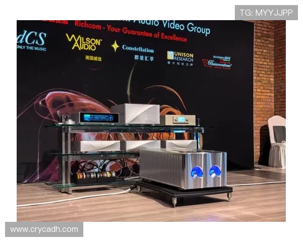 北京羽毛球队在钻石联赛中的逆袭之旅与荣耀时刻全景回顾