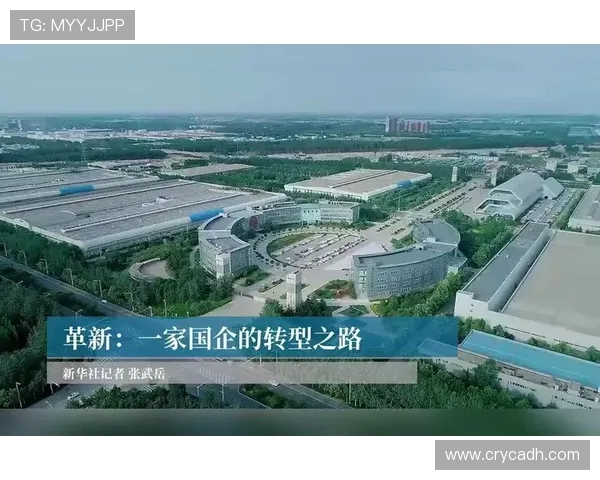 南京排球队的反击革新之路：重塑战术与团队精神的全新篇章