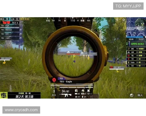 和平精英团队协作排行榜揭晓FPX强势晋升至第四名引关注