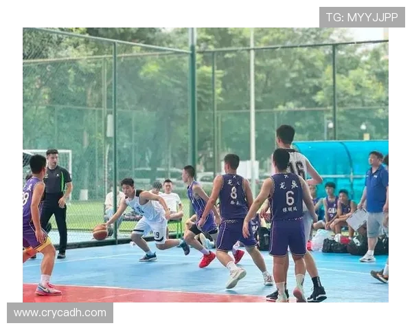 成都篮球队的转型之路：深度解析球队发展与战术创新的背后故事