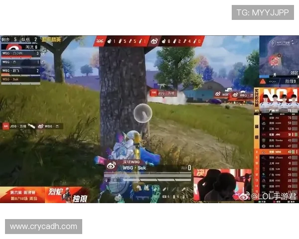 最新和平精英心理素质排行榜揭晓JDG战队表现卓越位居第一