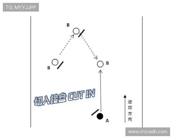 杭州飞盘队区域防守战术解析与比赛表现的深度剖析