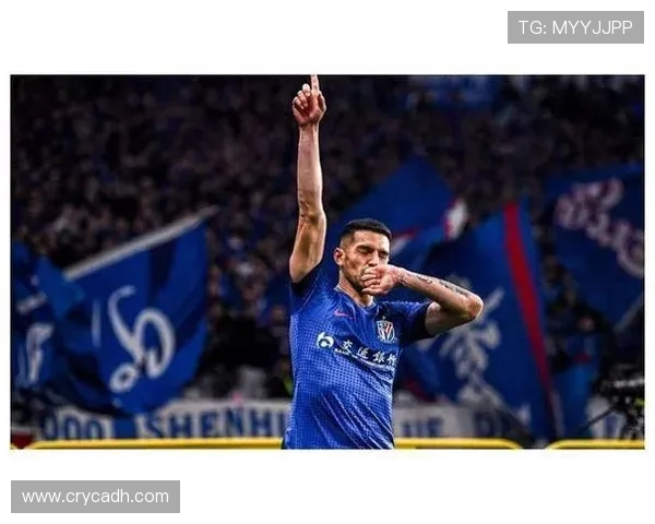 武汉排球队以67分领跑总决赛积分榜展现强劲实力 武汉排球队以67分领跑总决赛积分榜展现强劲实力