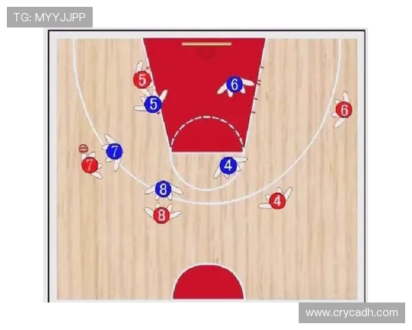 深入分析上海篮球队独特的防守策略与战术执行技巧
