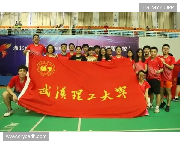 深圳羽毛球队与成都羽毛球队赛后技术分析与战术总结 深圳羽毛球队与成都羽毛球队赛后技术分析与战术总结