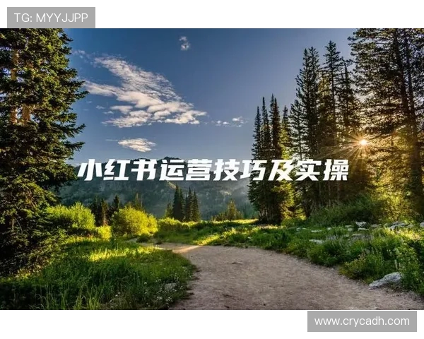 王敏独家揭秘和平精英游戏技巧与心得分享助你成为战场高手