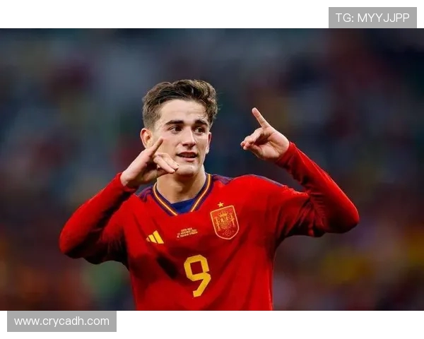 加克波：从新星崛起到国际舞台的足球传奇之路