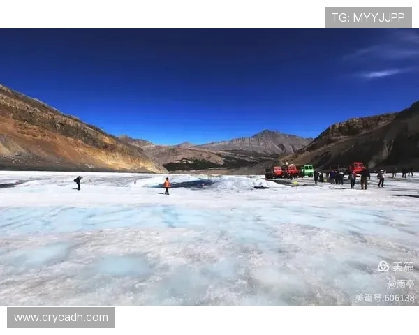 急流与温哥华数据分析对比研究揭示城市发展潜力与挑战