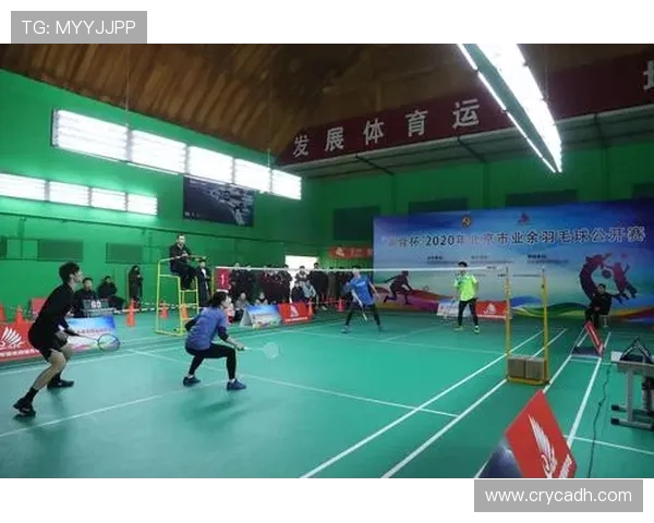 北京羽毛球队实力分析与发展潜力探讨