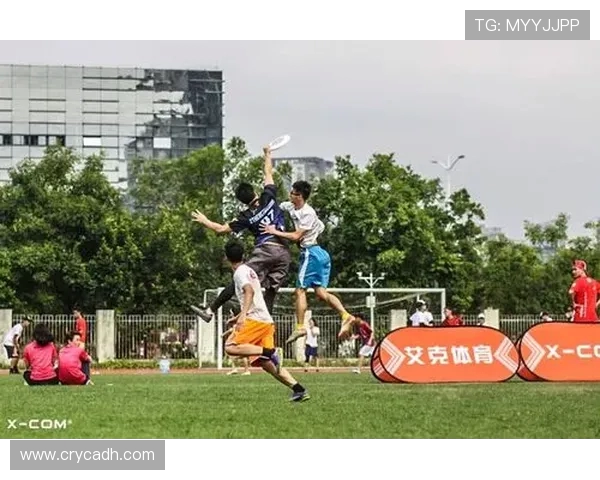 北京飞盘队与深圳飞盘队赛后战术分析与总结探讨