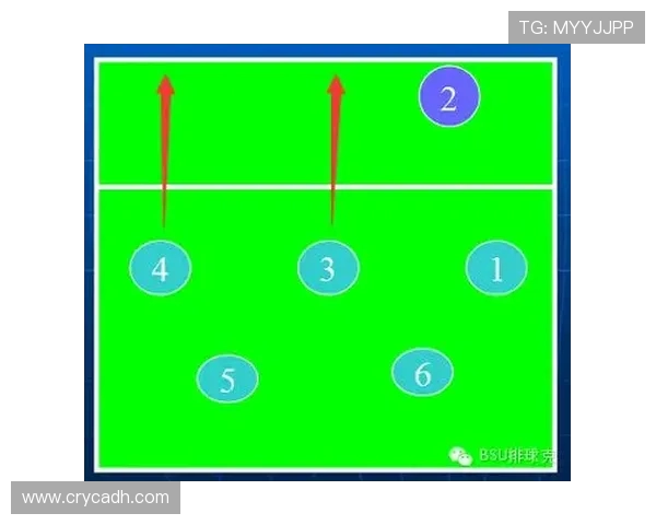 成都排球队反击战术解析与深度剖析排球竞技的魅力与挑战