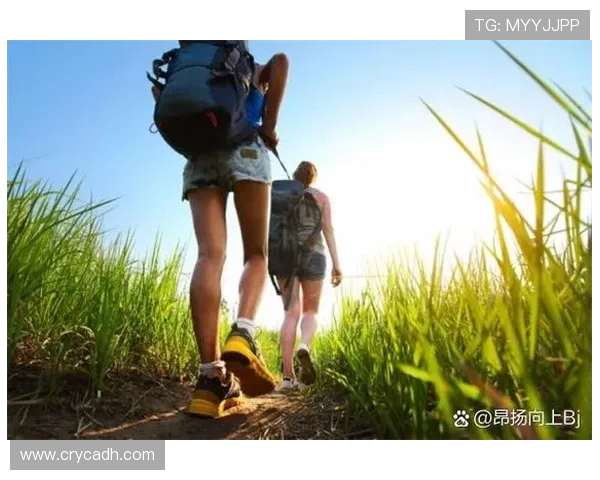 武汉极限运动队的防守策略与挑战深度解析