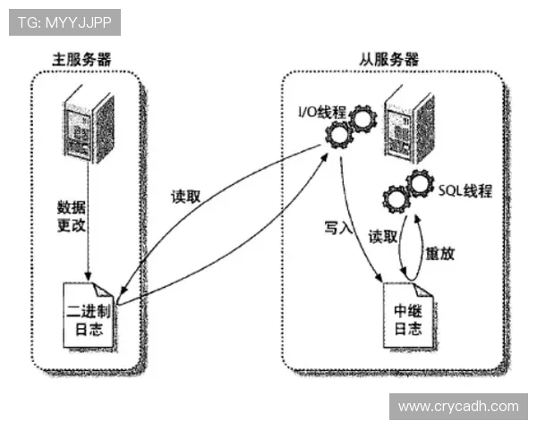 LNG在Major赛中的灵活性表现分析与战术解读