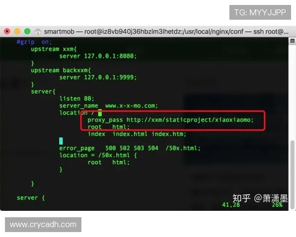 V5战队区域防守策略分析与成败得失探讨