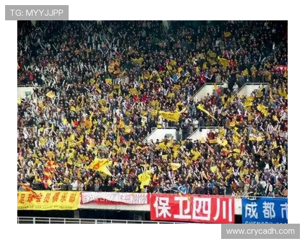 上海排球队状态变革引发热议球迷期待新篇章的崛起与挑战