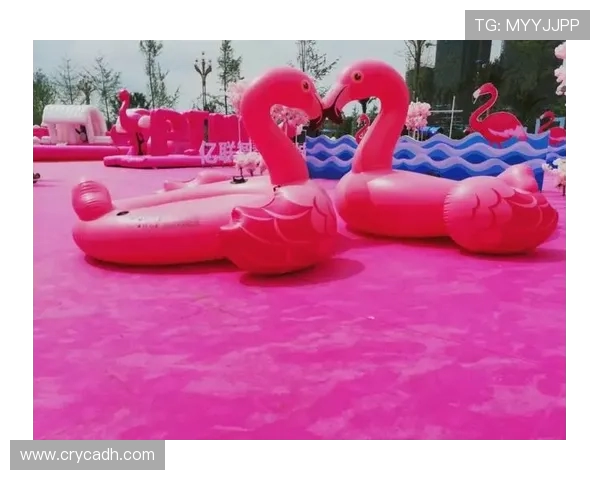 全国街舞大赛点评:广州攀岩队展现速度与激情的完美结合 全国街舞大赛点评:广州攀岩队展现速度与激情的完美结合