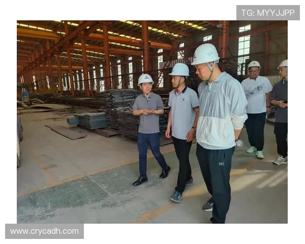 北京攀岩队战术解析与训练策略的深度探讨与思考