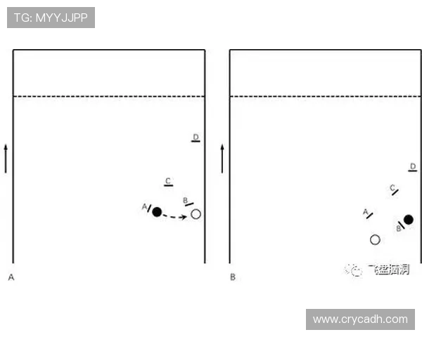北京飞盘队反击战术分析与比赛得失总结