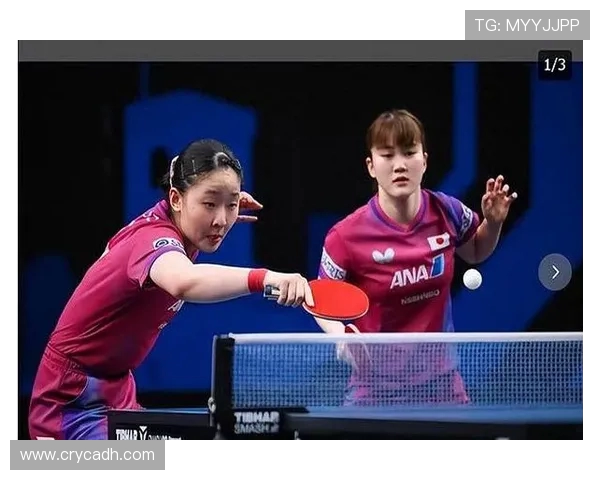 南京乒乓球队的节奏与发展探讨聚焦乒乓球运动的未来之路