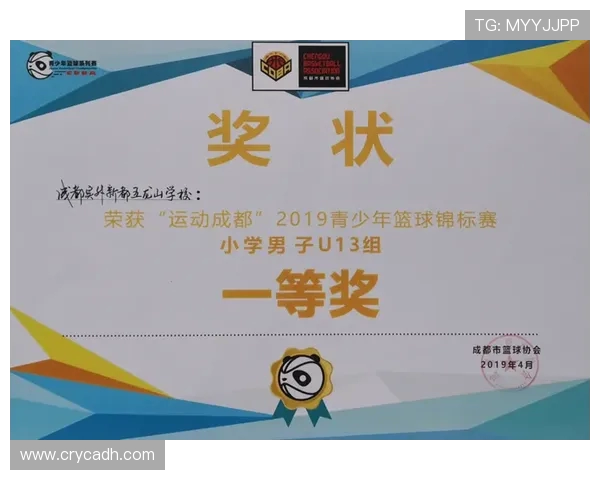 成都篮球队实力强劲荣登全国篮球力量排行榜第九位