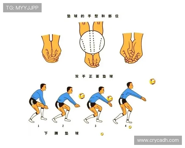 提升排球速度的科学训练方法与技巧解析
