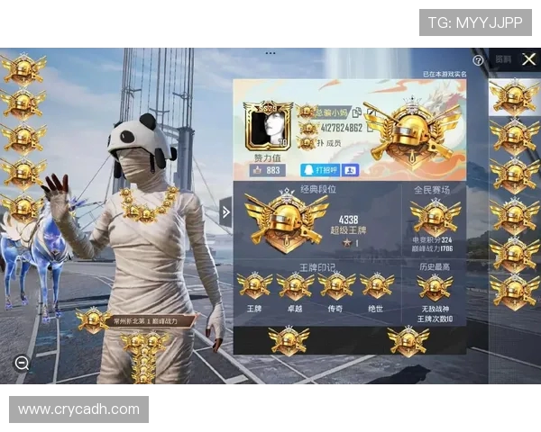 权威发布：和平精英玩家意识实力排行榜揭晓引发热议